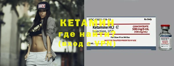 прущие грибы Дмитриев