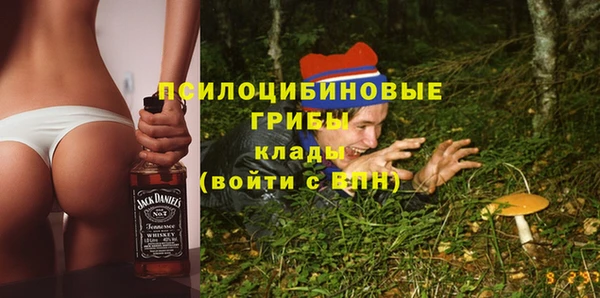 a pvp Володарск